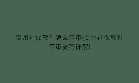 贵州社保软件怎么年审(贵州社保软件年审流程详解)
