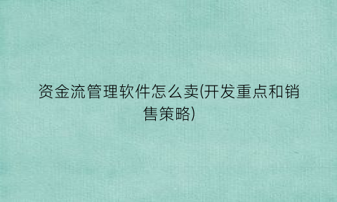 资金流管理软件怎么卖(开发重点和销售策略)