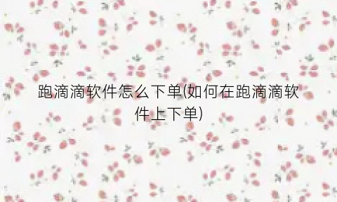 “跑滴滴软件怎么下单(如何在跑滴滴软件上下单)