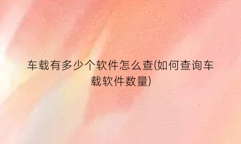 “车载有多少个软件怎么查(如何查询车载软件数量)