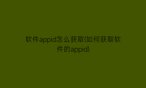 软件appid怎么获取(如何获取软件的appid)