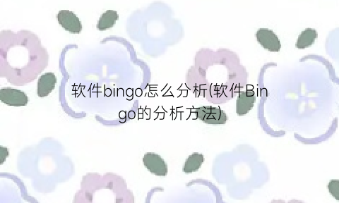 软件bingo怎么分析(软件Bingo的分析方法)