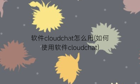 软件cloudchat怎么用(如何使用软件cloudchat)