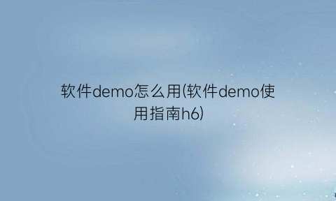 软件demo怎么用(软件demo使用指南h6)