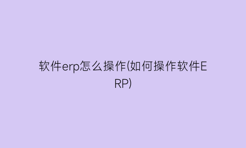 软件erp怎么操作(如何操作软件ERP)