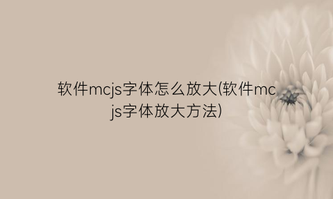 软件mcjs字体怎么放大(软件mcjs字体放大方法)