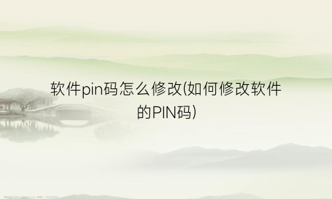 软件pin码怎么修改(如何修改软件的PIN码)