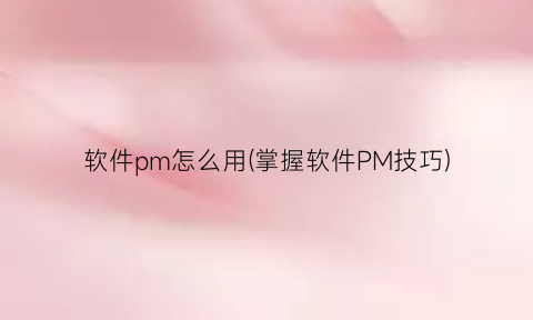 软件pm怎么用(掌握软件PM技巧)