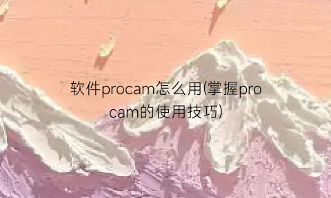 软件procam怎么用(掌握procam的使用技巧)