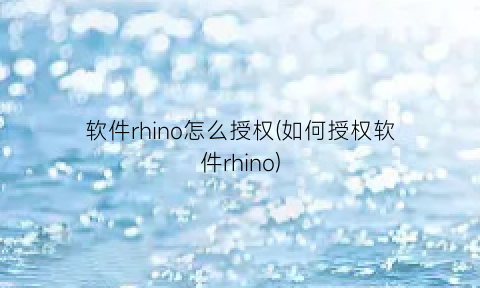 软件rhino怎么授权(如何授权软件rhino)