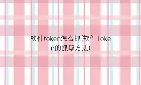 软件token怎么抓(软件Token的抓取方法)