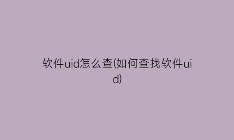 软件uid怎么查(如何查找软件uid)