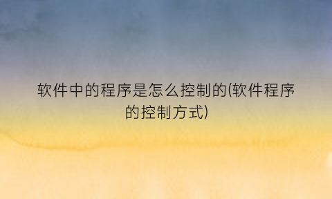 软件中的程序是怎么控制的(软件程序的控制方式)