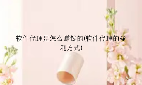 “软件代理是怎么赚钱的(软件代理的盈利方式)