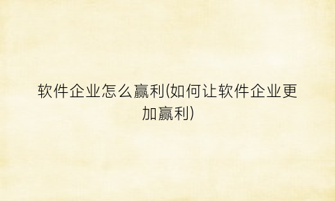 软件企业怎么赢利(如何让软件企业更加赢利)