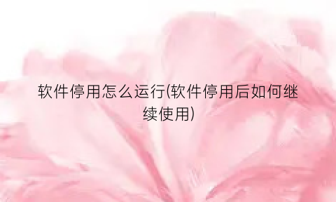 “软件停用怎么运行(软件停用后如何继续使用)