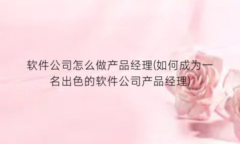 “软件公司怎么做产品经理(如何成为一名出色的软件公司产品经理)