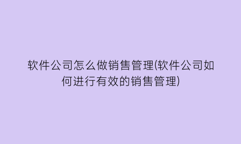 “软件公司怎么做销售管理(软件公司如何进行有效的销售管理)