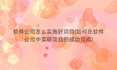 软件公司怎么实施好项目(如何在软件公司中实现项目的成功完成)