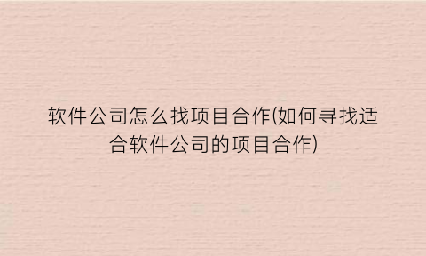 “软件公司怎么找项目合作(如何寻找适合软件公司的项目合作)