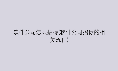 “软件公司怎么招标(软件公司招标的相关流程)