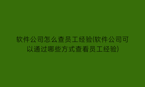 软件公司怎么查员工经验(软件公司可以通过哪些方式查看员工经验)