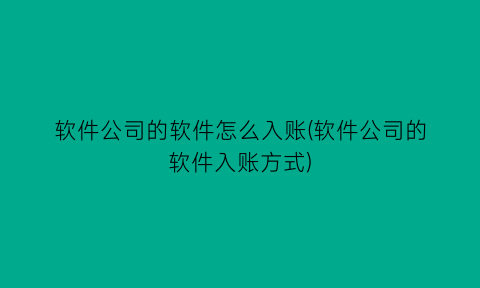 软件公司的软件怎么入账(软件公司的软件入账方式)