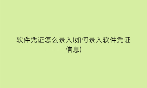 软件凭证怎么录入(如何录入软件凭证信息)