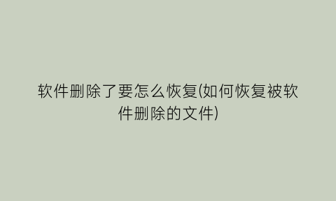 “软件删除了要怎么恢复(如何恢复被软件删除的文件)