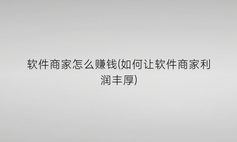 “软件商家怎么赚钱(如何让软件商家利润丰厚)