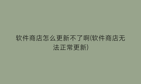 软件商店怎么更新不了啊(软件商店无法正常更新)