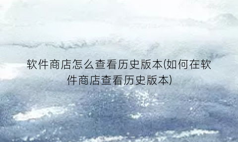 “软件商店怎么查看历史版本(如何在软件商店查看历史版本)