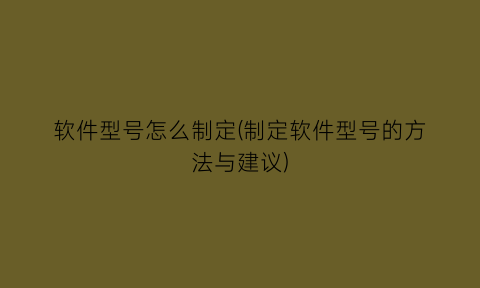 “软件型号怎么制定(制定软件型号的方法与建议)