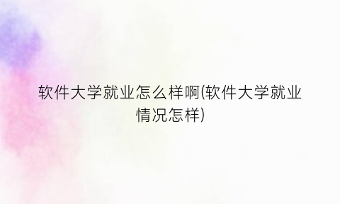软件大学就业怎么样啊(软件大学就业情况怎样)