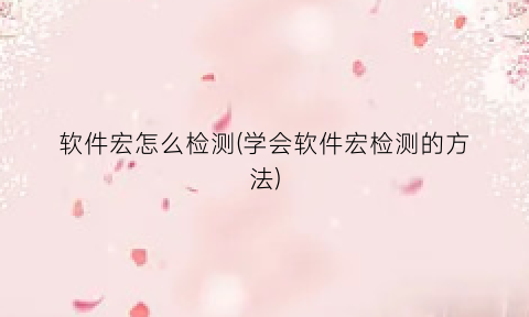 “软件宏怎么检测(学会软件宏检测的方法)