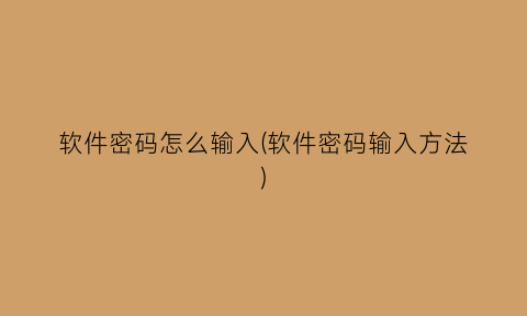 “软件密码怎么输入(软件密码输入方法)