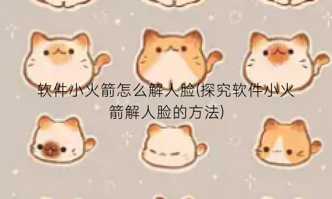“软件小火箭怎么解人脸(探究软件小火箭解人脸的方法)
