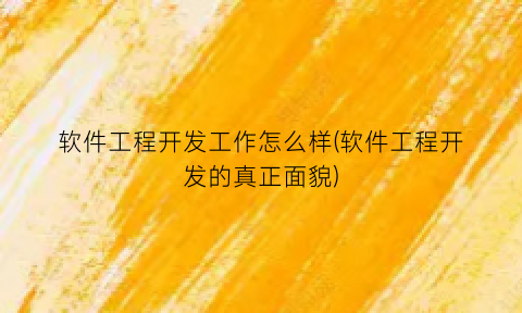 软件工程开发工作怎么样(软件工程开发的真正面貌)
