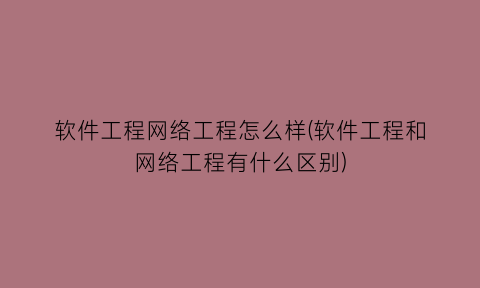 软件工程网络工程怎么样(软件工程和网络工程有什么区别)