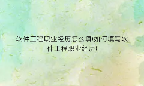 “软件工程职业经历怎么填(如何填写软件工程职业经历)