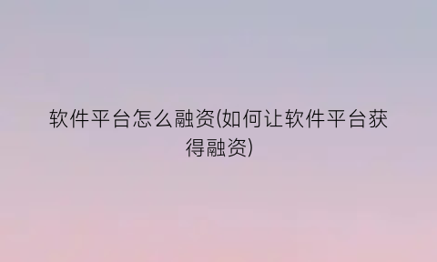 “软件平台怎么融资(如何让软件平台获得融资)
