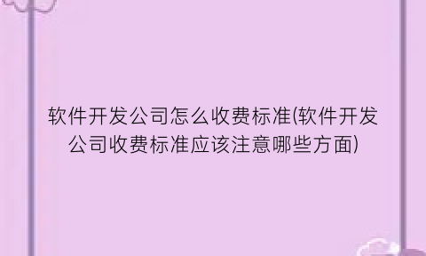 软件开发公司怎么收费标准(软件开发公司收费标准应该注意哪些方面)