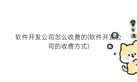 “软件开发公司怎么收费的(软件开发公司的收费方式)