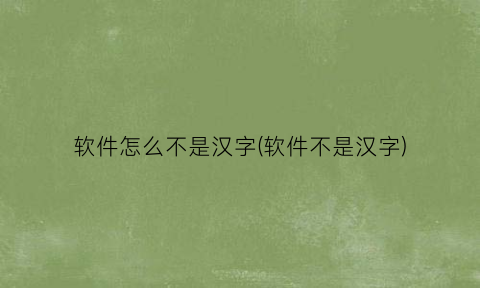 软件怎么不是汉字(软件不是汉字)