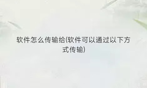 “软件怎么传输给(软件可以通过以下方式传输)