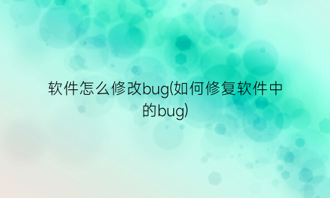 软件怎么修改bug(如何修复软件中的bug)
