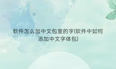 “软件怎么加中文包里的字(软件中如何添加中文字体包)
