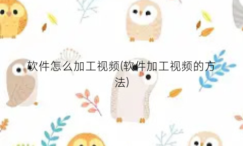 软件怎么加工视频(软件加工视频的方法)