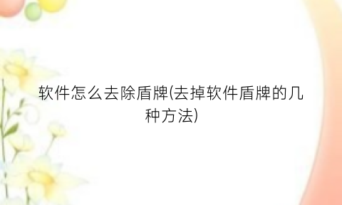 “软件怎么去除盾牌(去掉软件盾牌的几种方法)
