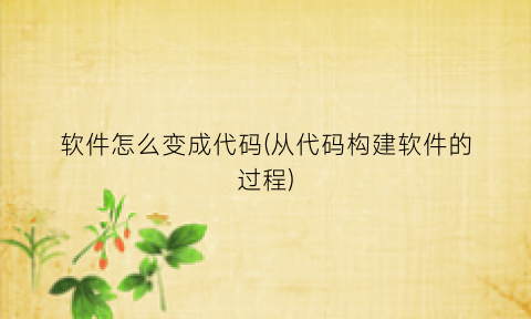 软件怎么变成代码(从代码构建软件的过程)